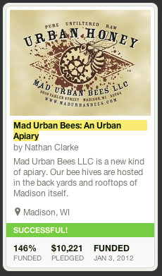 Madison Urban Bees